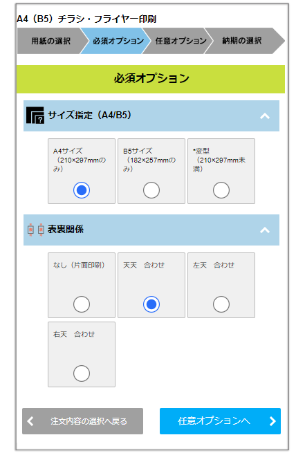 必須オプション