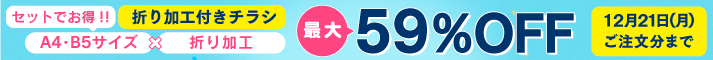 折り加工付きチラシキャンペーン