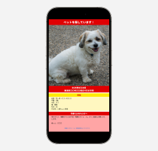 迷子ペットチラシ2