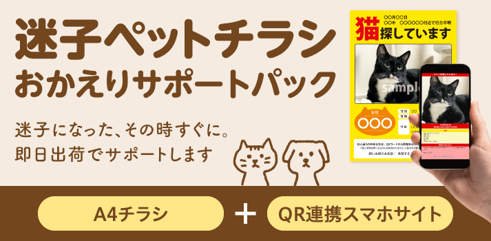 迷子ペットチラシパック