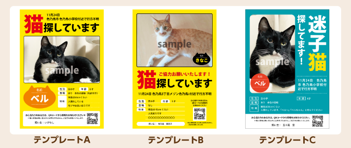 迷子ペットチラシパック-1