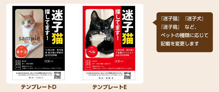 迷子ペットチラシパック-2